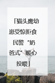 猫头鹰幼崽受惊拒食 民警“奶爸式”暖心投喂