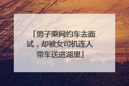 男子乘网约车去面试，却被女司机连人带车送进湖里
