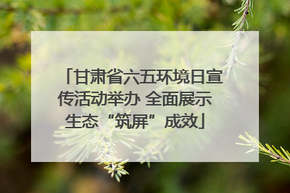 甘肃省六五环境日宣传活动举办 全面展示生态“筑屏”成效