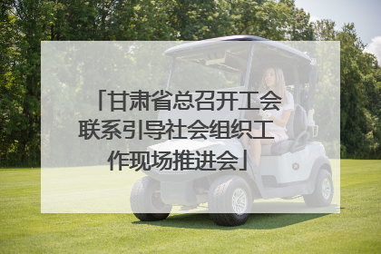 甘肃省总召开工会联系引导社会组织工作现场推进会