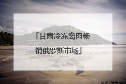 甘肃冷冻禽肉畅销俄罗斯市场