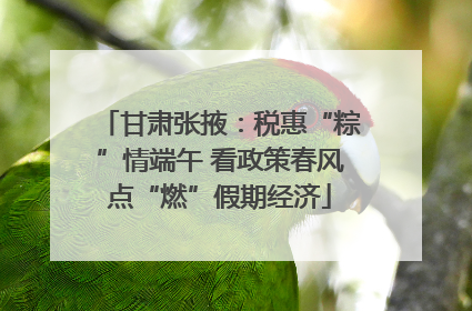 甘肃张掖：税惠“粽”情端午 看政策春风点“燃”假期经济