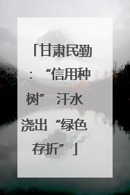 甘肃民勤：“信用种树” 汗水浇出“绿色存折”