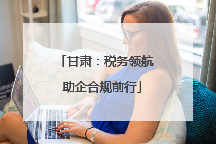 甘肃：税务领航 助企合规前行