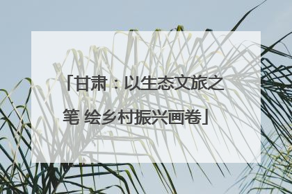 甘肃：以生态文旅之笔 绘乡村振兴画卷