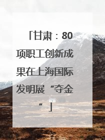 甘肃：80项职工创新成果在上海国际发明展“夺金”