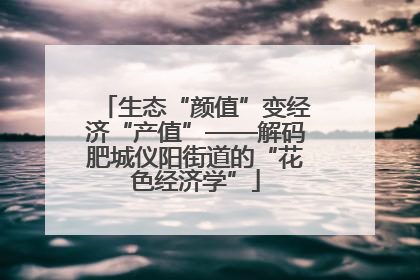 生态“颜值”变经济“产值”——解码肥城仪阳街道的“花色经济学”