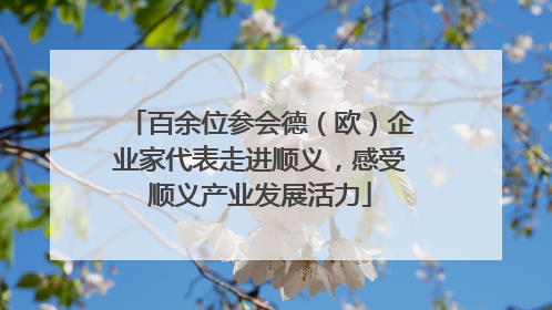 百余位参会德（欧）企业家代表走进顺义，感受顺义产业发展活力