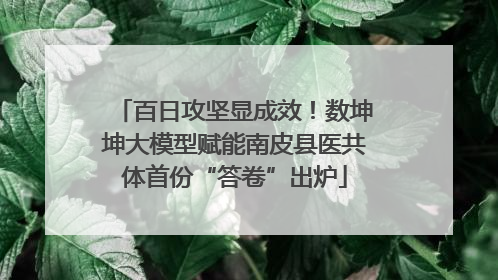 百日攻坚显成效！数坤坤大模型赋能南皮县医共体首份“答卷”出炉