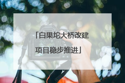白果坨大桥改建项目稳步推进
