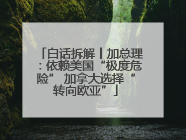 白话拆解丨加总理：依赖美国“极度危险” 加拿大选择“转向欧亚”