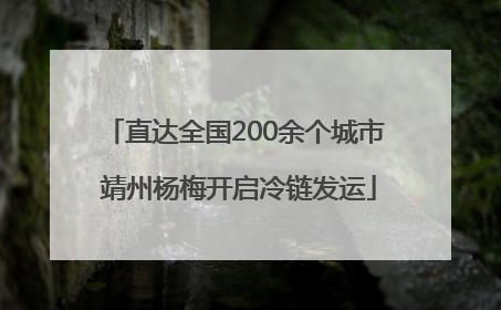 直达全国200余个城市 靖州杨梅开启冷链发运