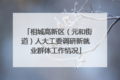 相城高新区（元和街道）人大工委调研新就业群体工作情况