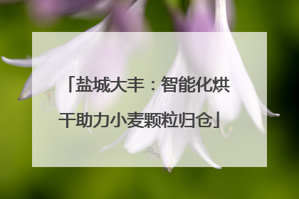 盐城大丰：智能化烘干助力小麦颗粒归仓
