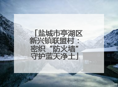 盐城市亭湖区新兴镇联盟村：密织“防火墙”守护蓝天净土
