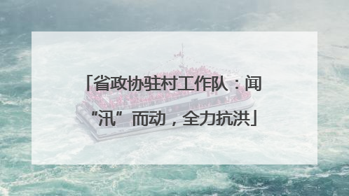 省政协驻村工作队：闻“汛”而动，全力抗洪