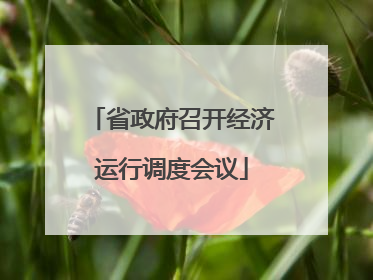 省政府召开经济运行调度会议