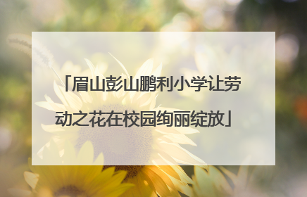 眉山彭山鹏利小学让劳动之花在校园绚丽绽放