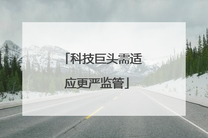 科技巨头需适应更严监管
