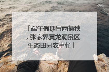 端午假期冒雨插秧，张家界黄龙洞景区生态田园农事忙