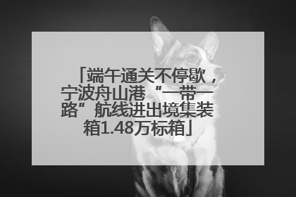 端午通关不停歇，宁波舟山港“一带一路”航线进出境集装箱1.48万标箱