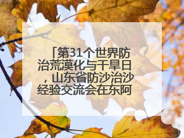 第31个世界防治荒漠化与干旱日，山东省防沙治沙经验交流会在东阿县举办