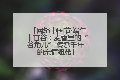 网络中国节·端午丨甘谷：麦香里的“谷角儿” 传承千年的亲情纽带
