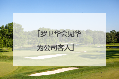 罗卫华会见华为公司客人