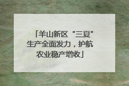 羊山新区“三夏”生产全面发力，护航农业稳产增收