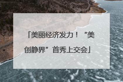 美丽经济发力！“美创静界”首秀上交会