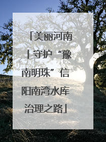 美丽河南丨守护“豫南明珠”信阳南湾水库治理之路