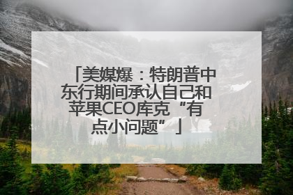 美媒爆：特朗普中东行期间承认自己和苹果CEO库克“有点小问题”