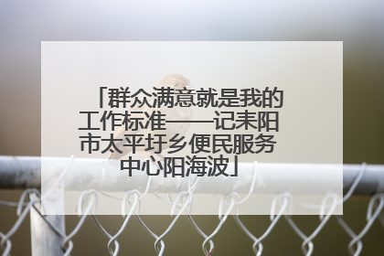 群众满意就是我的工作标准——记耒阳市太平圩乡便民服务中心阳海波