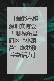 精彩亮相深圳文博会！聊城东昌府区“小葫芦”焕发数字新活力