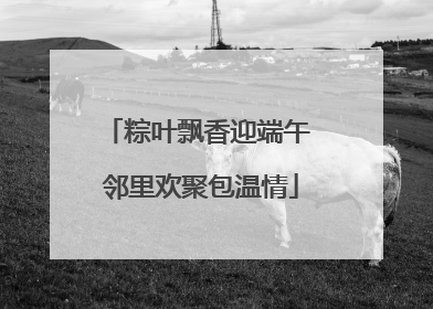 粽叶飘香迎端午 邻里欢聚包温情
