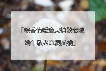 粽香情暖豫灵镇敬老院 端午敬老意满桑榆