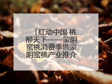红动中国 桃醉天下——蒙阴蜜桃消费季暨蒙阴蜜桃产业推介会成功举办