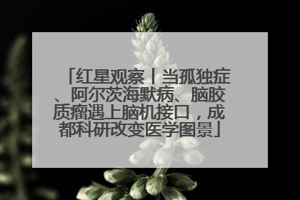 红星观察丨当孤独症、阿尔茨海默病、脑胶质瘤遇上脑机接口，成都科研改变医学图景