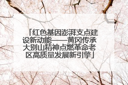 红色基因澎湃支点建设新动能——黄冈传承大别山精神点燃革命老区高质量发展新引擎