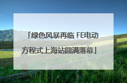绿色风暴再临 FE电动方程式上海站圆满落幕