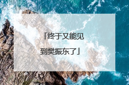 终于又能见到樊振东了
