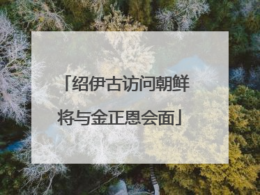 绍伊古访问朝鲜 将与金正恩会面