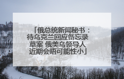 俄总统新闻秘书：待乌克兰回应备忘录草案 俄美乌领导人近期会晤可能性小