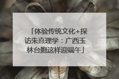 体验传统文化+探访朱熹理学：广西玉林台胞这样迎端午