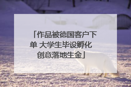 作品被德国客户下单 大学生毕设孵化创意落地生金