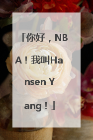 你好，NBA！我叫Hansen Yang！