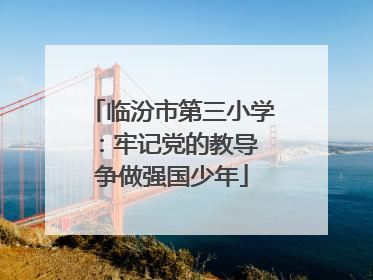 临汾市第三小学：牢记党的教导 争做强国少年