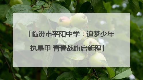 临汾市平阳中学：追梦少年执星甲 青春战旗启新程