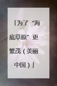 为了“海底草原”更繁茂（美丽中国）