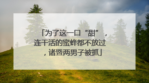 为了这一口“甜”，连干活的蜜蜂都不放过，诸暨两男子被抓